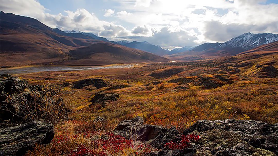 Klondike Experience RV Alaska