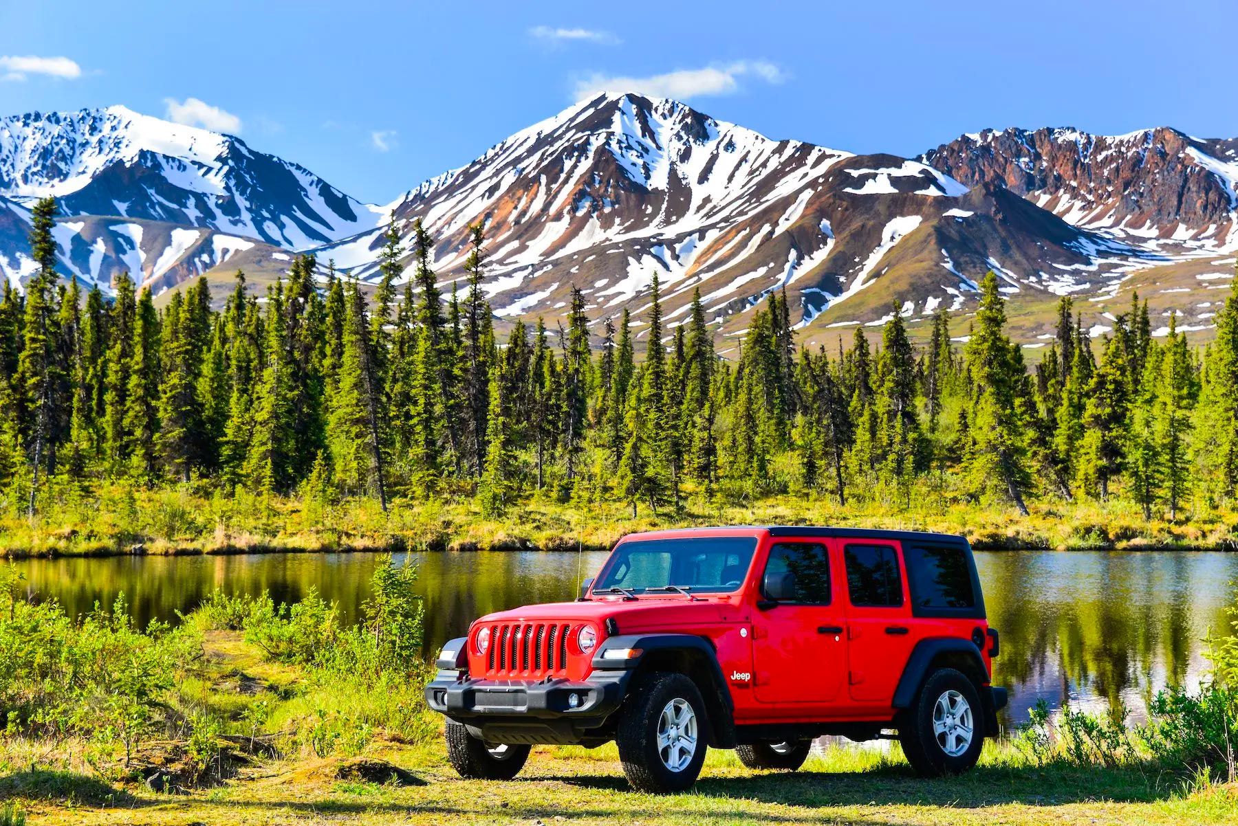 jeep tours in denali national park