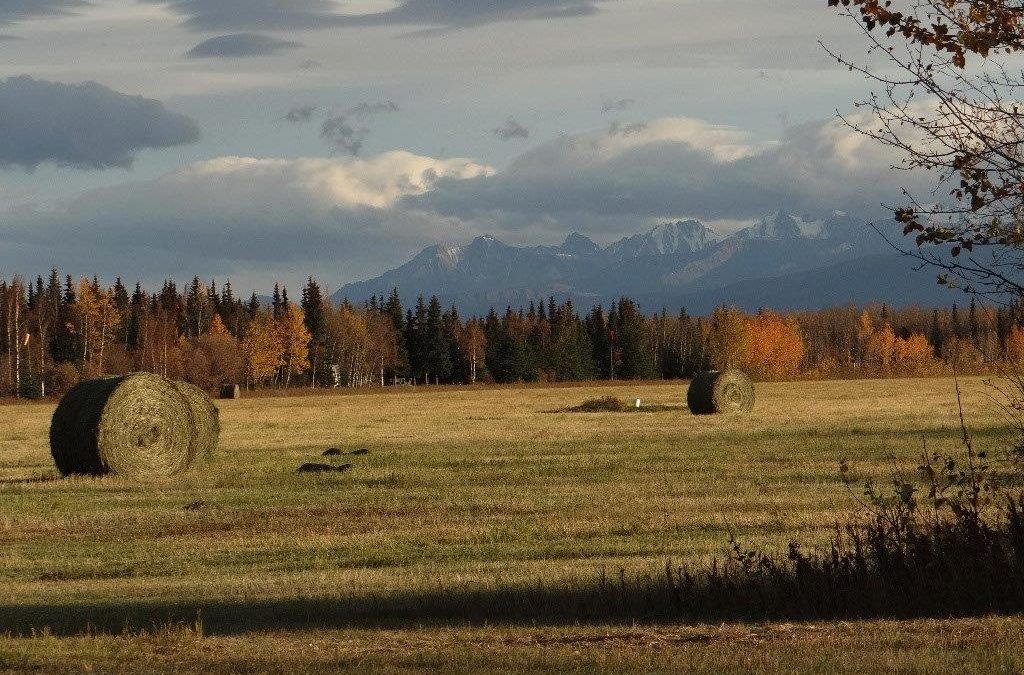 Delta Meat and Sausage