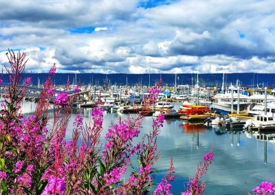 Homer Alaska