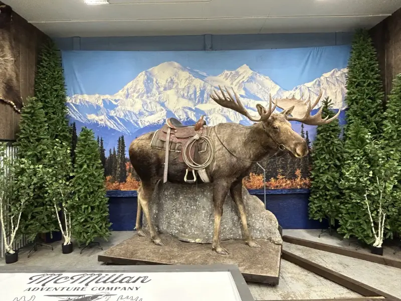 McMillan Adventure Company Wildlife Museum